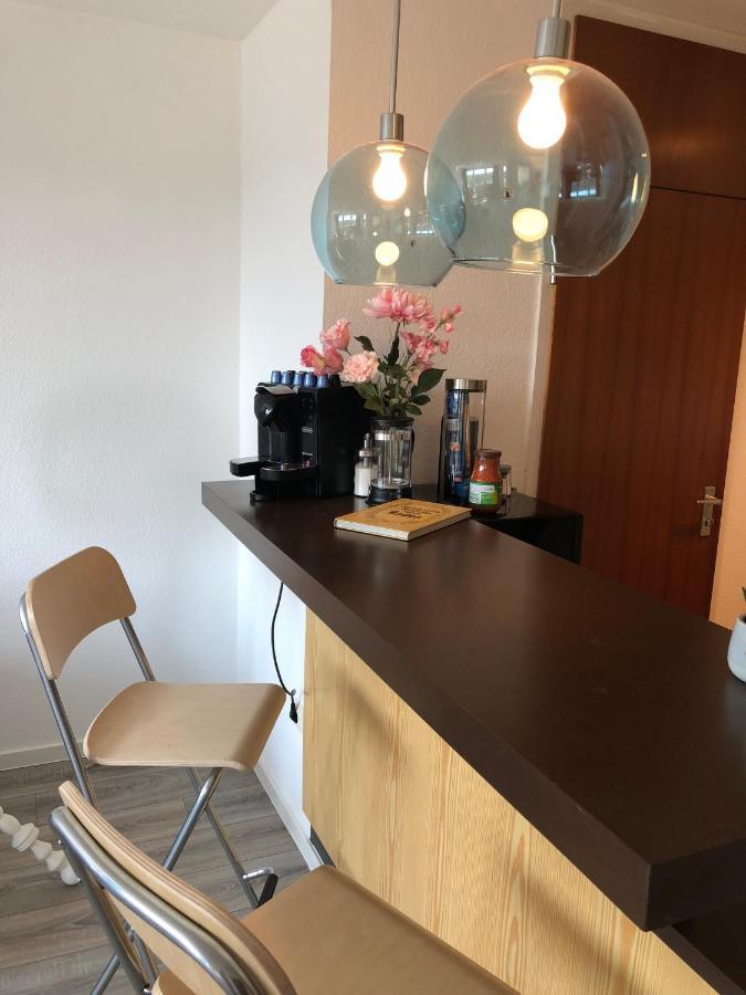 Grosses Appartement Mit Aussichtsbalkon Ludwigsburg Zewnętrze zdjęcie